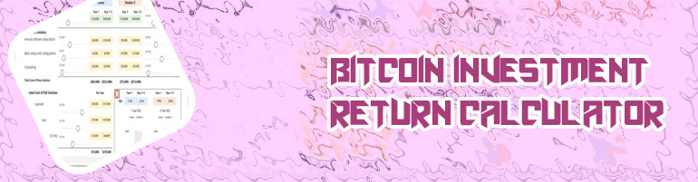 Bitcoin return on investment calculator