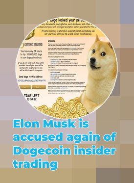 Wife dogecoin price